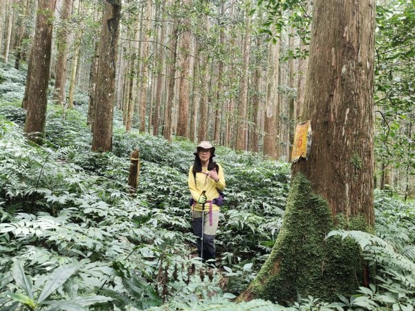 向天湖三山+ 南大龜山3012339