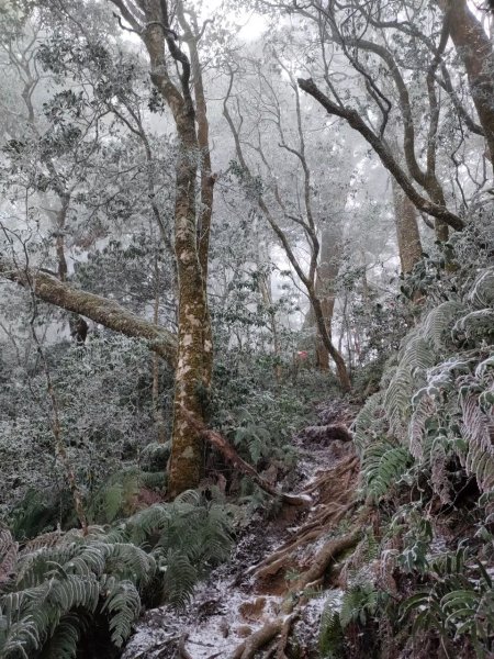 雪季北得拉曼2956423