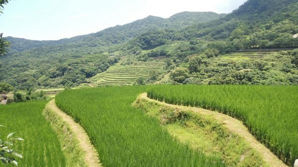 105.06.18 青山瀑布 尖山湖步道190739