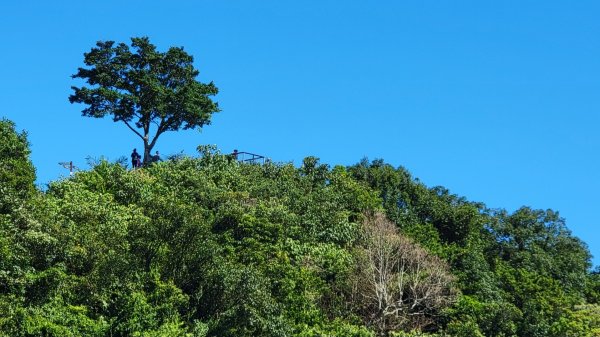 承天禪寺-天上山-南勢角-山烘爐地-202410192859599