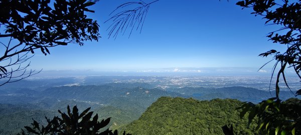 2025/10/10-水田林道上外鳥嘴山2911495