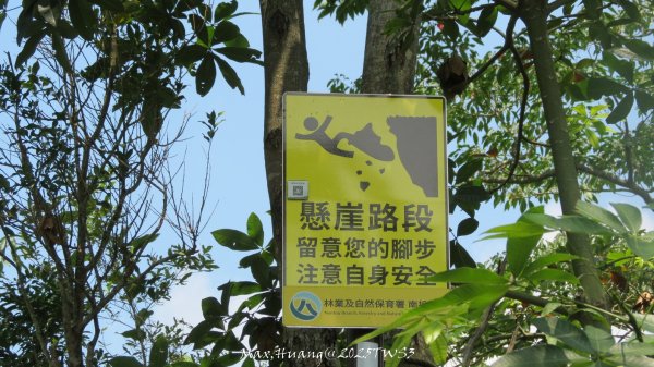 《南投》峰峰相連｜草屯九九峰森林步道O型202509062879293