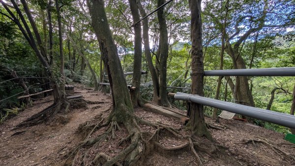 114.11.22鳶山彩碧-鳶山-鳶尾山之旅2943539