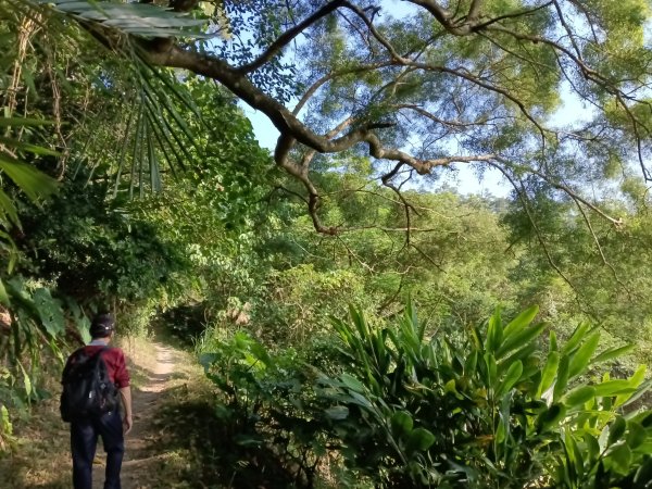 頭城鎮外澳車站+石空古道+太和山步道+蛇頭觀景台+象寮古道+烏山古道+外澳車站O型3018453