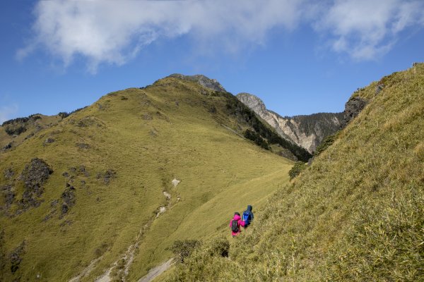 大小劍-油婆蘭全紀錄2674236