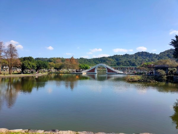 內湖o形4連峰（白鷺鷥山+鯉魚山東峰+鯉魚山+忠勇山）（2/13）2429606