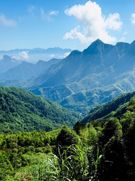 羊彎上武岫大崙山茶園尋山頭2824879