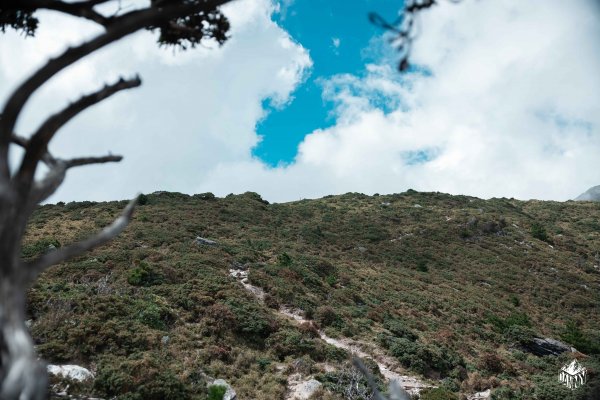 【南二段Day1 】向陽登山口-嘉明湖避難山屋1470437