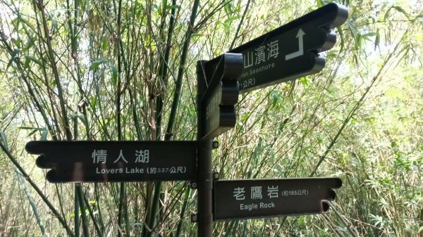 基隆市海興森林步道-情人塔-老鷹岩-情人湖登山步道O型3092728