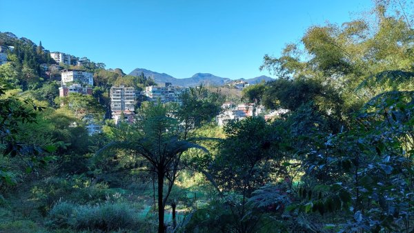 新店小粗坑赤蘆古道越嶺O型2784398