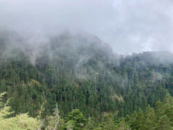 玉山北峰主峰東峰2560041