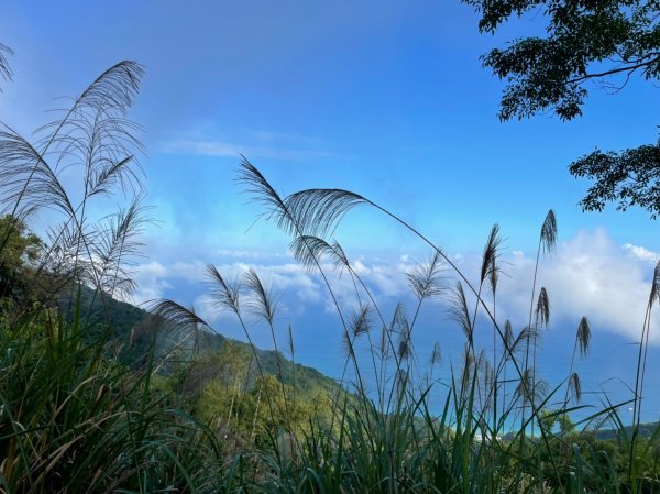 小百岳(95)-加奈美山-202211192051684