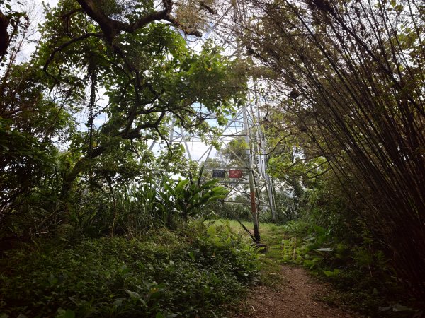 [淡蘭古道] 2026_0523 南路第一段_中埔山步道3069373