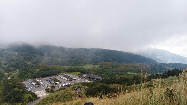 陽明山輕鬆走2991970