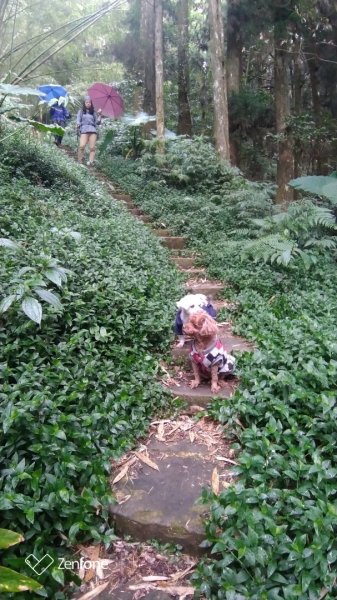 1090128年初四奮瑞古道健走816938