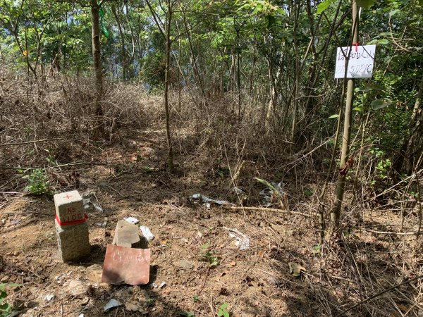 20250503屏東保和以山2781446