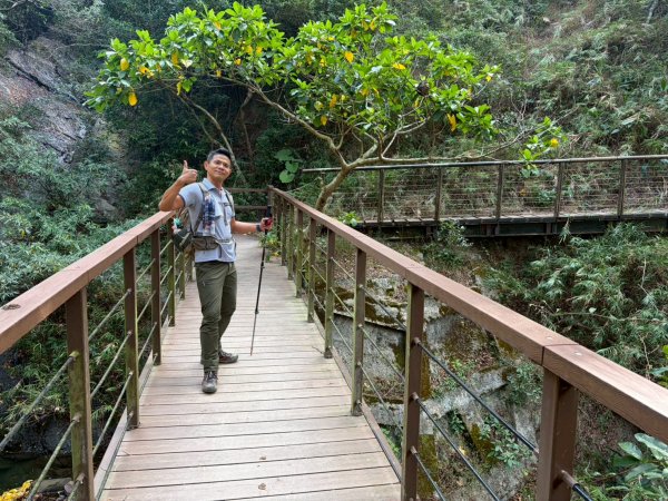 里龍山【十年之後 我們是朋友…】3008238