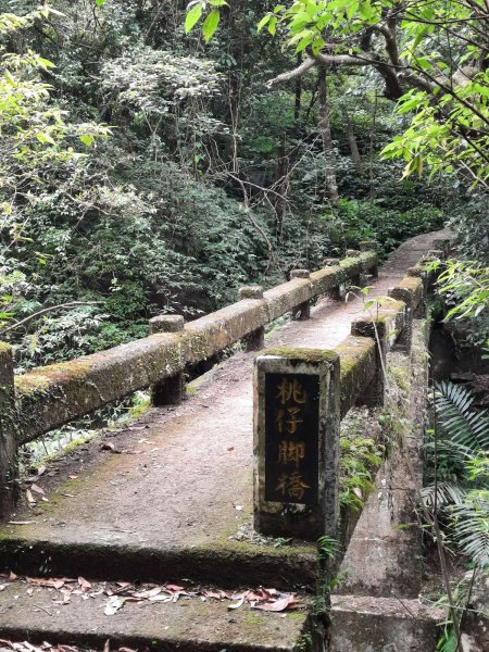 20230722 頂山石梯嶺縱走坪頂古圳，聖人瀑布2227224