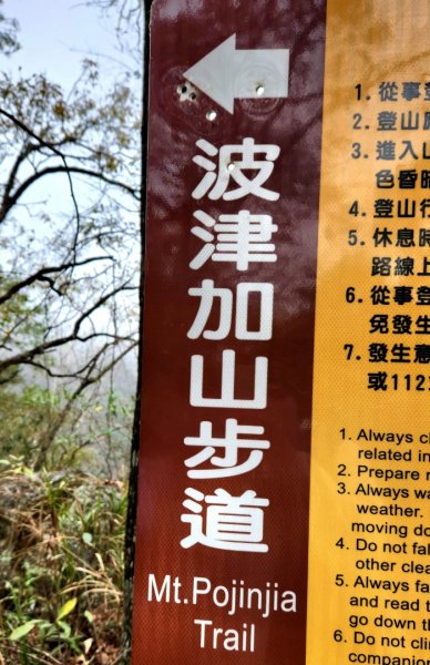 谷關七雄波津加山，太平蝙蝠洞延伸步道，花蓮美崙山步道，台東鯉魚山2004987