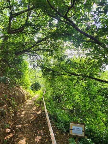 1140419龍港連走白沙屯(含好望角,牧羊古道,舊鐵道,海角樂園,山邊媽,白沙屯)2767290