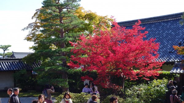 日本京都嵐山651934
