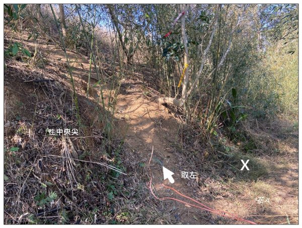 中央尖、山背伯公步道O型路線2708783