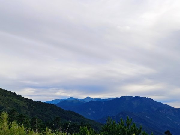 兩颱風之間空擋登屏風山巧遇保育類動物+出大景2237812