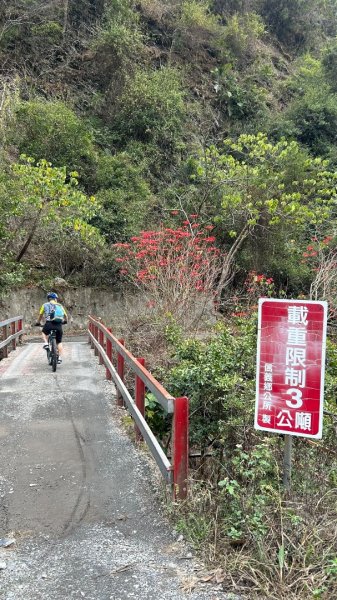 信義巴庫拉斯濁水溪2995743