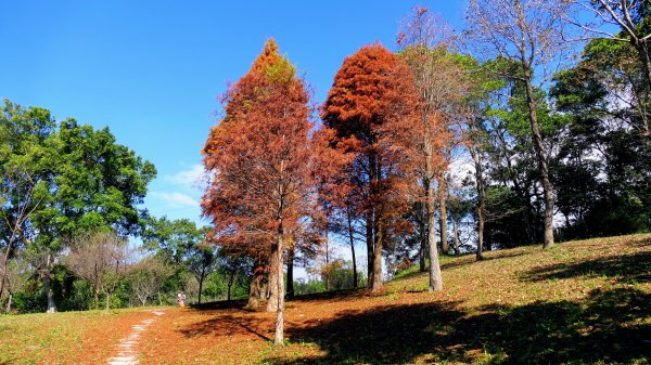 長庚養生村落羽松2682060