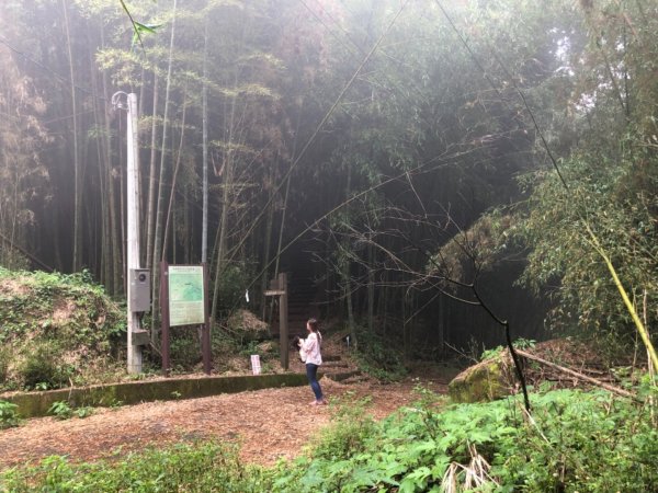 頂湖步道再訪芙蓉山、大凍山、霹靂山637298