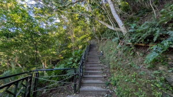 114.08.16和美山之微笑山線2864969