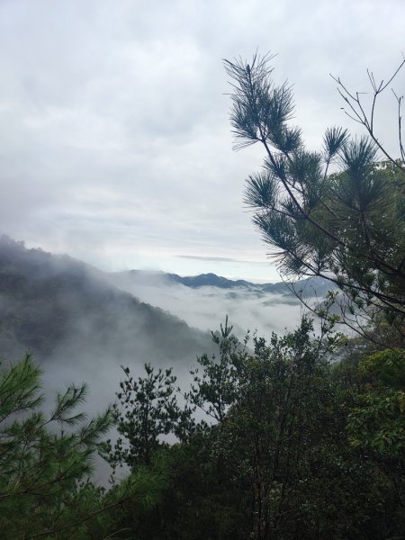 谷關老八阿冷山2699799