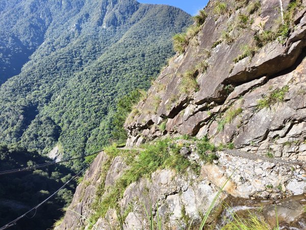 [玉山尋寶任務-07/12] 2025_0824 八通關雲龍瀑布步道2870652