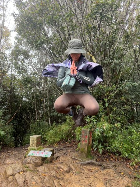 北得拉曼神木群連走內鳥嘴山2940199