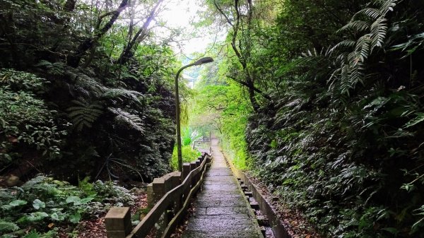 豹山溪,獅山溪,永春崗1769893