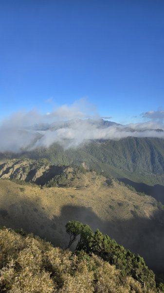 20241124-1130 南二段10座百岳2665370