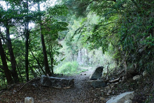 臺中 和平 烏石坑山1697232