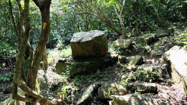 中山峽谷步道,海興步道,情人湖登山步道2581359