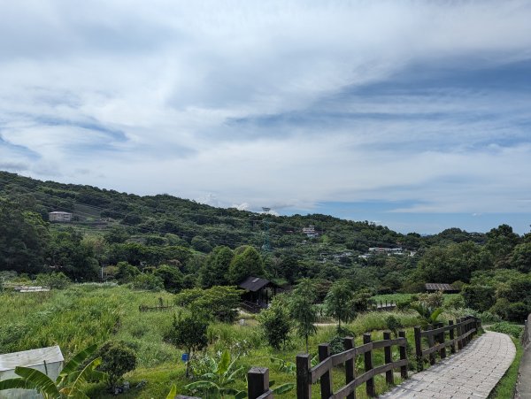 2023-08-26 臺北大縱走第七段2792847