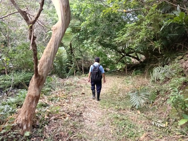 貢寮區龍洞坑古道+苦苓嶺+南雅山+海園古道O型2954605