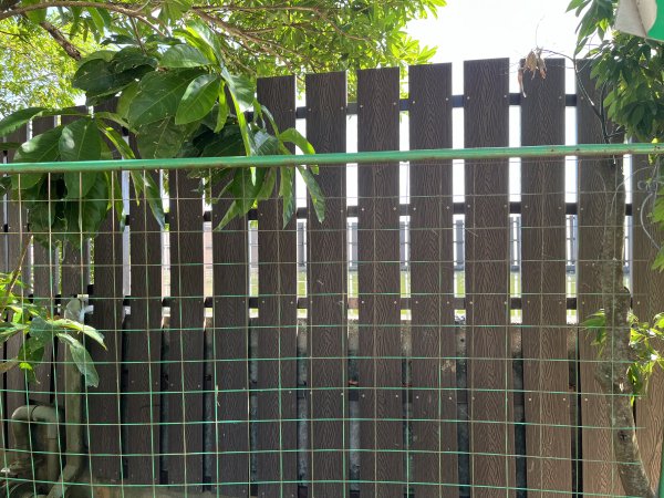 2025_1011 巴塱衛山2912781