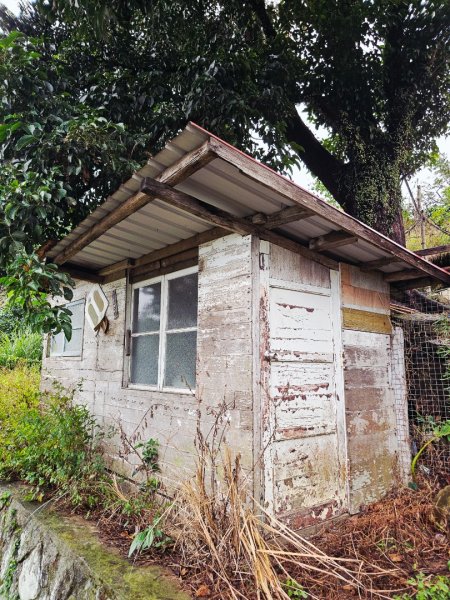 2025臺北大縱走第七段：世界山莊至飛龍步道政大後山2924000