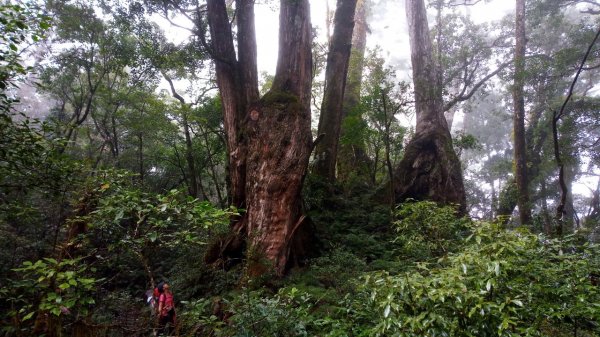 塔魔巴棲松－湖濱野營之旅698846