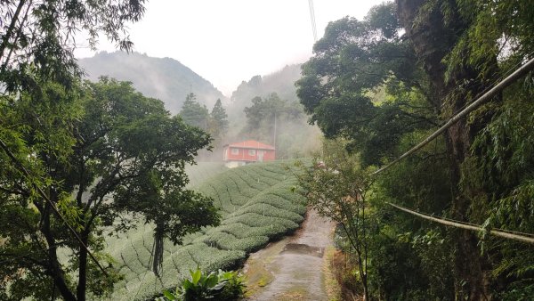 嘉義瑞里湖桶底接瑞太古道入口2556425