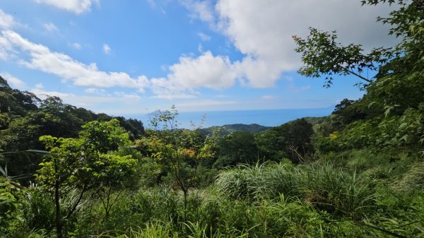 頭城農場→梗枋百年古道→坪溪古道→象寮古道→石空古道→石空山→岩藏山O型3097581