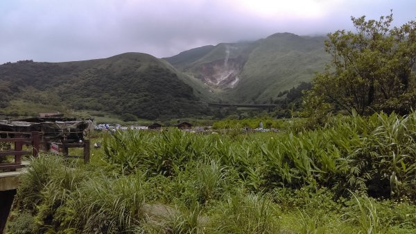 【臺北大縱走2】頂湖和竹子湖賞繡球花海芋981892