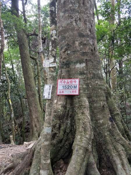 步道巡訪員 l 白毛山步道11月巡訪日誌1158501