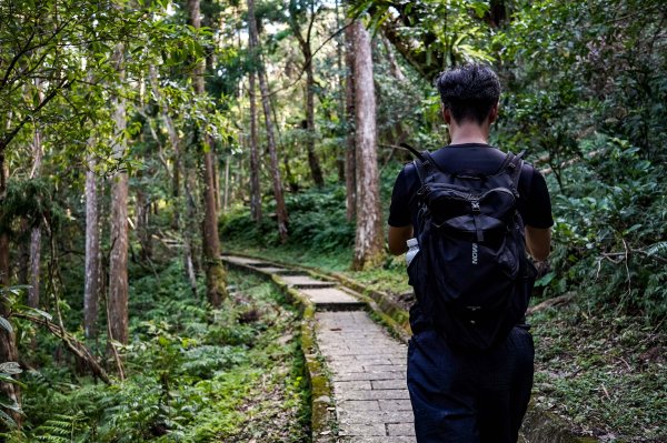 滿月圓森林步道2870080