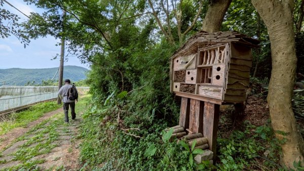 114.06.01溪山百年古圳-太平尾山+聖人崙之旅2801851