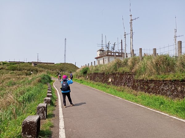 【臺北大縱走 2】【台北-臺灣百大必訪步道】視野遼闊的大屯山主峰，風景秀麗的頂湖海芋步道、水車寮步道1340302